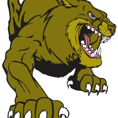 AR5 BOBCAT 24 RQC Thumbnail