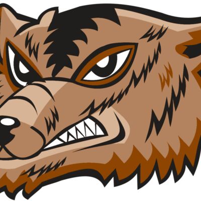 WOLVERINE HD0504 RQC Thumbnail