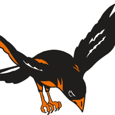 AR ORIOLE 16 RC Thumbnail