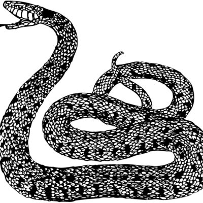 SNAKE015 Thumbnail